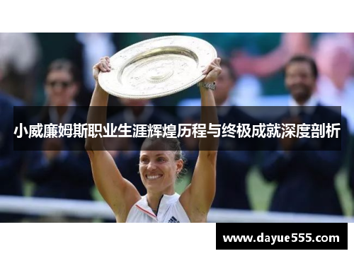 小威廉姆斯职业生涯辉煌历程与终极成就深度剖析