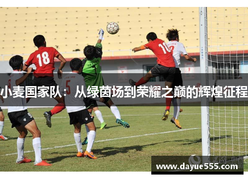 小麦国家队：从绿茵场到荣耀之巅的辉煌征程