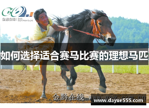 如何选择适合赛马比赛的理想马匹