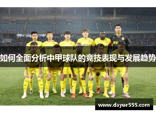 如何全面分析中甲球队的竞技表现与发展趋势